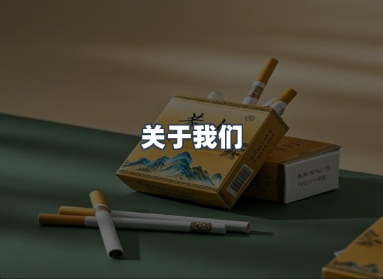 关于我们